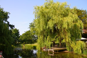 Idyllic setting.
