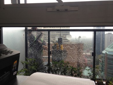 Window cleaning