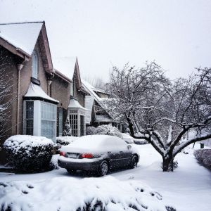 snow