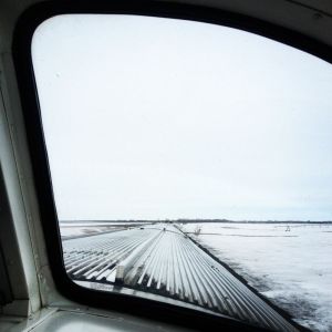 Manitoba: nothing as far as the eye can see