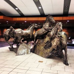 Stampede in Calgary Airport