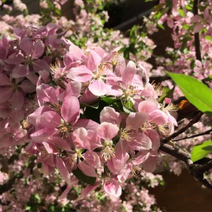 It's definitely spring